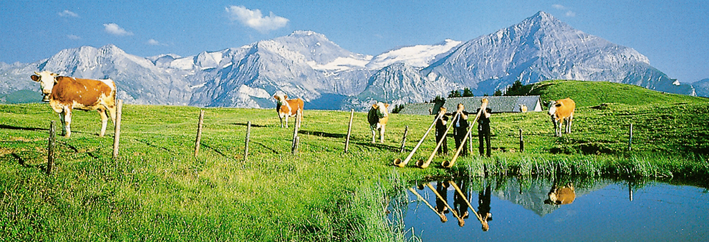 Ferienwohnung Chaletwohnung 2-3 Pers. (332241), Zweisimmen, Simmental, Berner Oberland, Schweiz, Bild 6