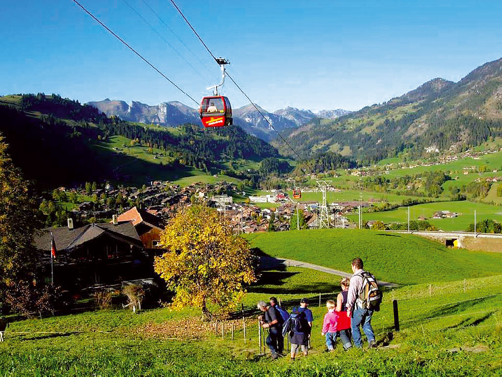 Ferienwohnung Chaletwohnung 2-3 Pers. (332241), Zweisimmen, Simmental, Berner Oberland, Schweiz, Bild 3