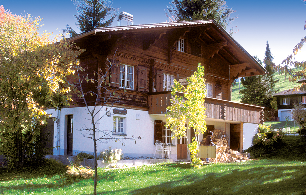 Ferienwohnung Chaletwohnung 2-3 Pers. (332241), Zweisimmen, Simmental, Berner Oberland, Schweiz, Bild 2