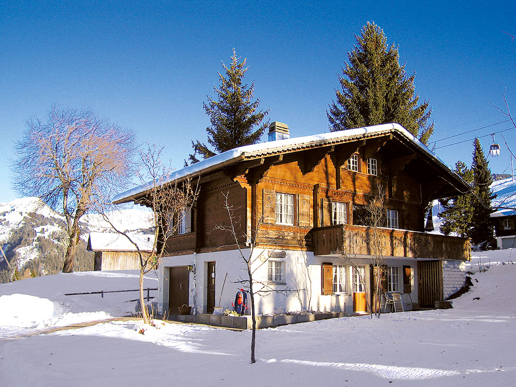Chalet 1-10 Pers. Ferienhaus in der Schweiz